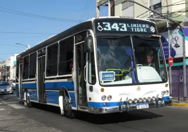 colectivo 343