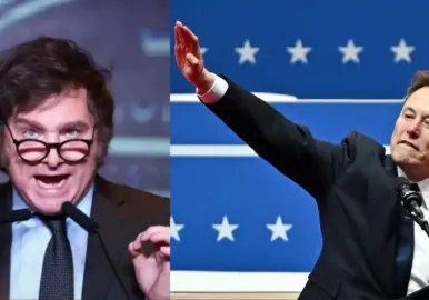 javier milei elon musk