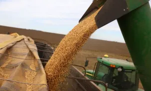 retenciones campo