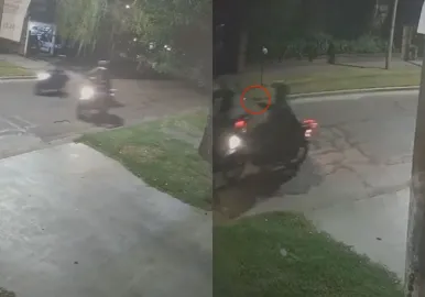 mato a ladron moreno