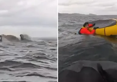 estrecho de magallanes