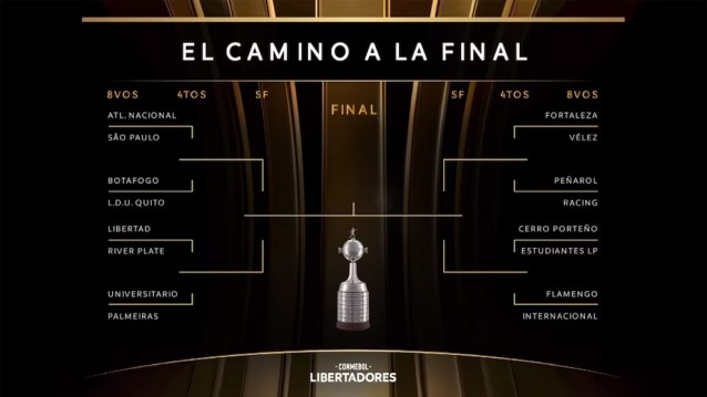 copa libertadores 2025