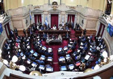 camara de senadores