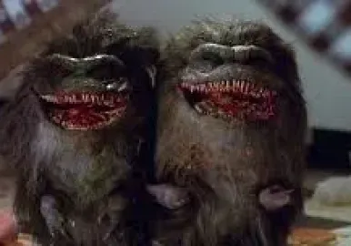critters