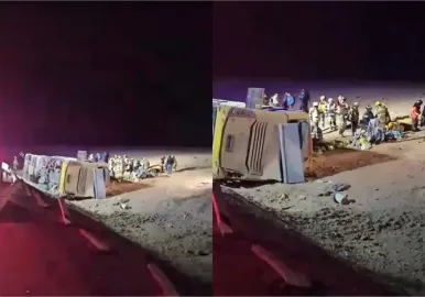 micro argentino chile