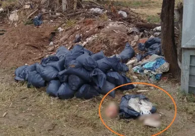 brazos cortados en cordoba