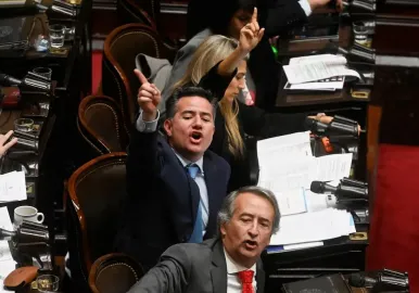 cámara de diputados
