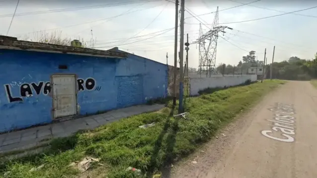 javier milei campaña