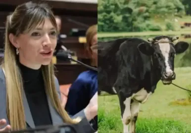 impuesto a los gases de las vacas