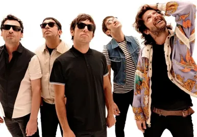 joaquin levinton turf