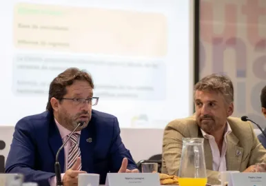 marco lavagna pedro lines