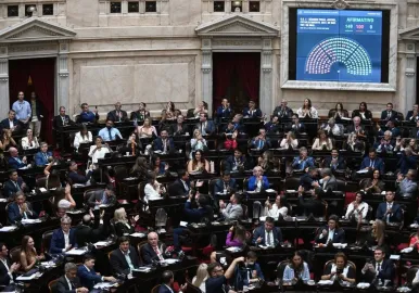 diputados imputabilidad