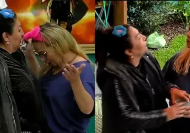 pincoya tamara paganini