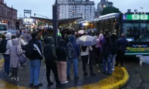 colectivos