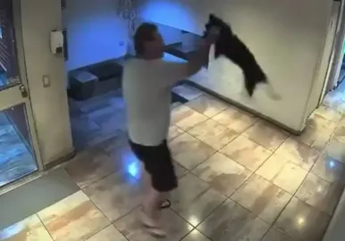 golpeo a su perro palermo