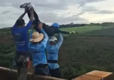 BUNGEE BRASIL