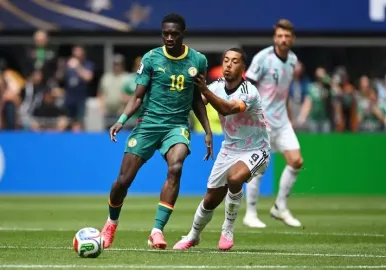 senegal belgica