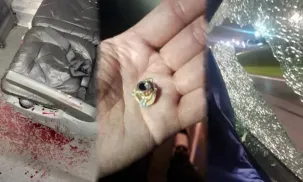 MICRO TIGRE
