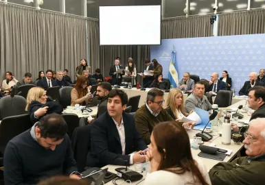 Comisión diputados