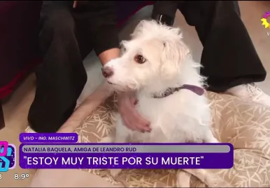 perrito leandro rud