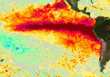 el niño
