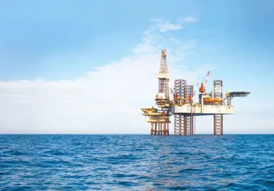petroleo malvinas sea lion