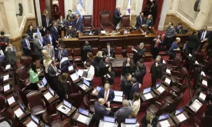 senado