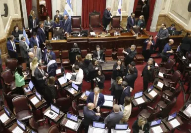 senado