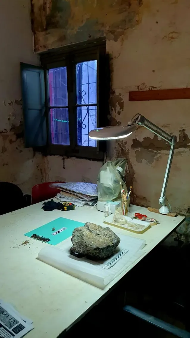 paleontologia