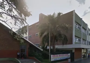 Pio xii